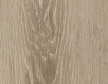 designart Home Evergreen Oak 22147