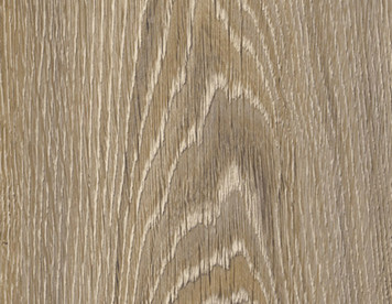 designart Home Evergreen Oak 22937