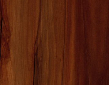 designart Traffic Fruitwood 20870